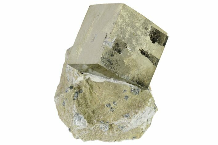 Pyrite Cube In Rock - Navajun, Spain #118234